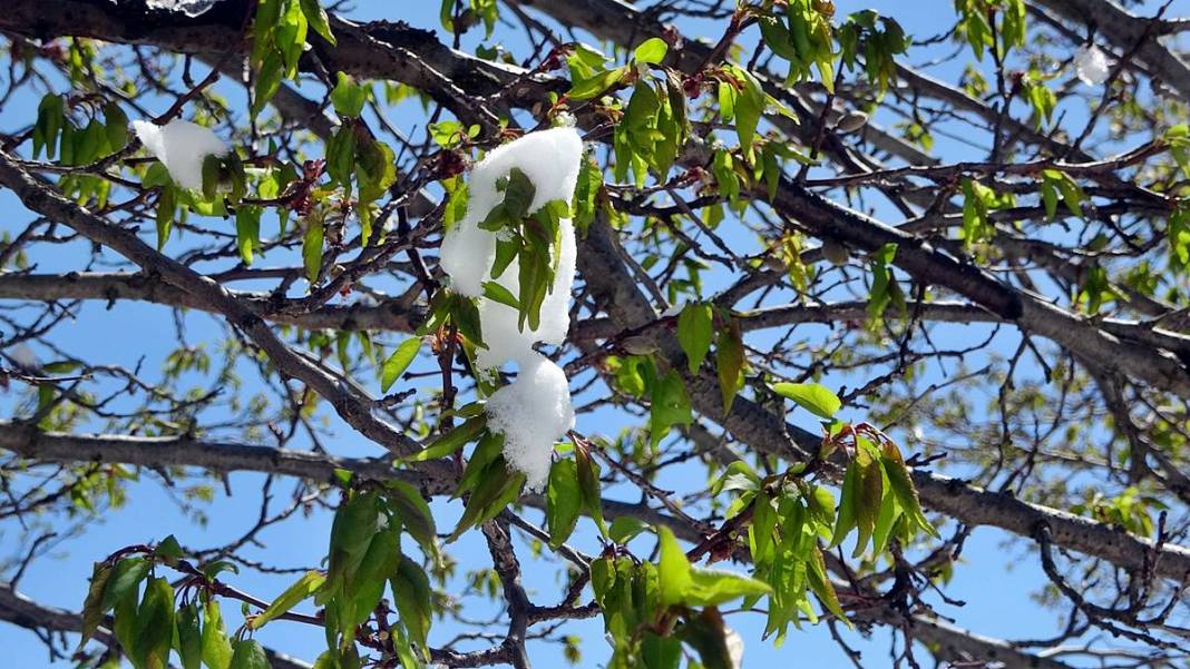 Tarımda tarihin en büyük felaketi yaşanıyor! Meyve, sebze fiyatlarında rekor artış yaşanacak 25
